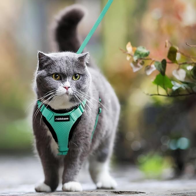 rabbitgoo Cat Harness and Leash for Walking, Escape Proof Soft Adjustable Vest Harnesses for Cats, Easy Control Breathable Reflective Strips Jacket, Emerald, M