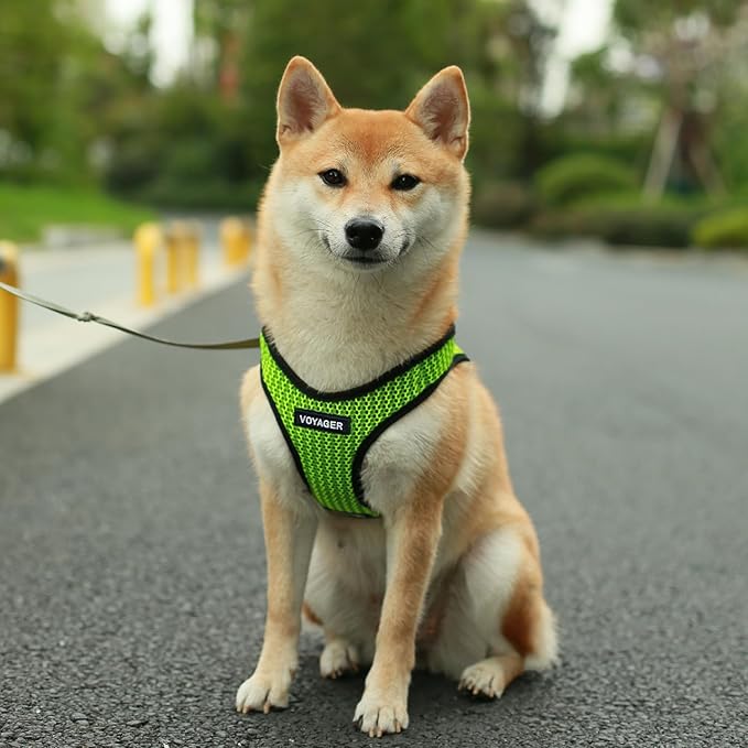 Voyager Step-in Air Dog Harness - All Weather Mesh Step in Vest Harness for Small and Medium Dogs by Best Pet Supplies - Lime Green (2-Tone), M