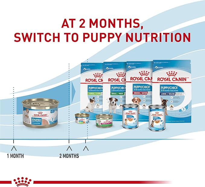 Royal Canin Size Health Nutrition Small Mother & Babydog Starter Mousse in Sauce Wet Dog Food, 5.1 oz can (24-count)