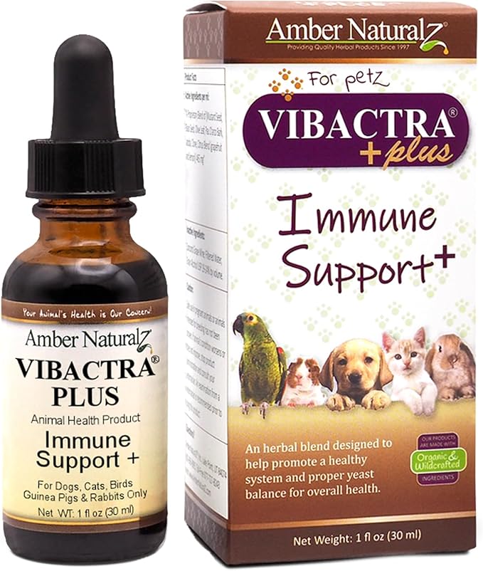 Amber NaturalZ Vibactra Plus Herbal Supplement for Dogs, Cats, Birds, Guinea Pigs, and Rabbits | Herbs for Immune Health and Yeast Balance | 1 Fluid Ounce Glass Bottle | Manufactured in The USA