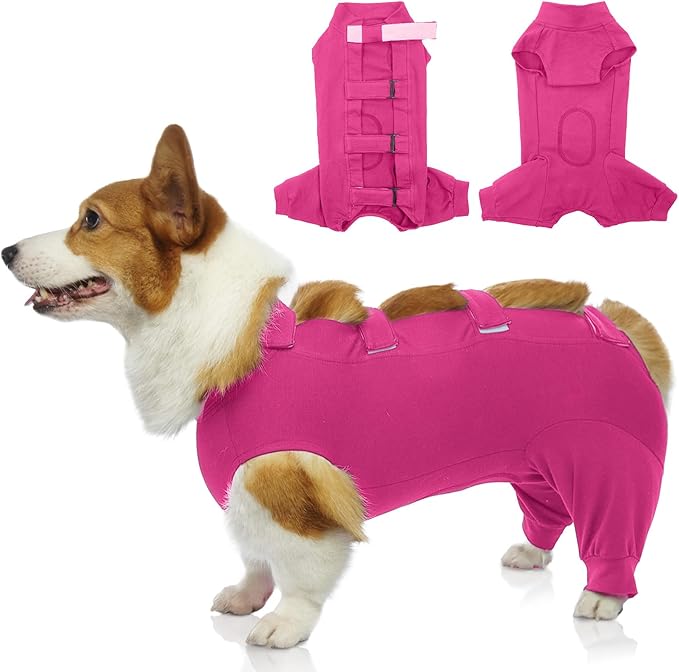 IECOii Dog Onesie for Surgery,Dog Surgery Suit Female Spay Recovery Suit for Medium Size Dog,Dog Recovery Suit Male Pet Abdominal Anti Licking Shirt,Dog Bodysuit Alternative to Cone E-Collar,M-Rosered