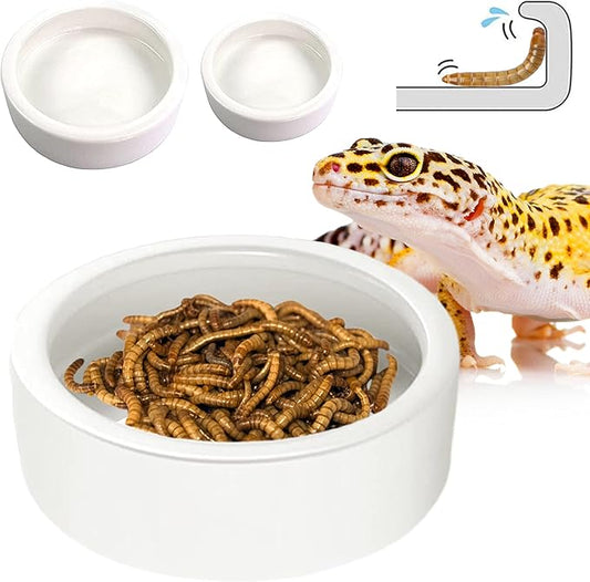 Reptile Food Dish Bowl - Anti-Escape Ceramic Worm Water Dish Feeder for Mealworm, Superworm, Dubia Roaches, Lizard, Leopard Gecko, Bearded Dragon, Chameleon, Skink, Tegu, Snake (Medium, White)