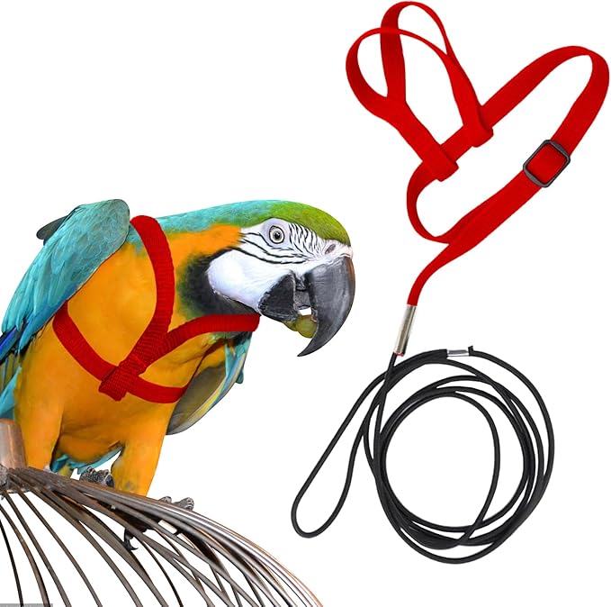 Large Bird Harness and Leash, Bird Harness for Large Parrot, Adjustable Parrot Training Flight Harness Leash for Medium Large Bird Parrot African Grey Amazon Macaw (Red, S)