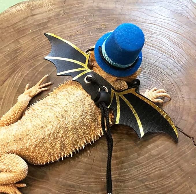 Bearded Dragon Leash Harness with Magician Hat and Bowtie Halloween Costume Set,3 Size Pack Bat Wing with Leash for Lizard Reptile Halloween,Holiday,Party,Photos Small Animal Clothes Outfit (Blue Set)