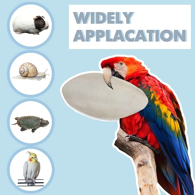 Jmxu's 3.5"-4" Cuttlebone for Birds Parakeets, Cuddle Bone with Metal Holder, Cuttlefish Bone for Sharp Beaks, Natural Birds Calcium for Parrots Cockatiels Tortoises, 4 Pcs