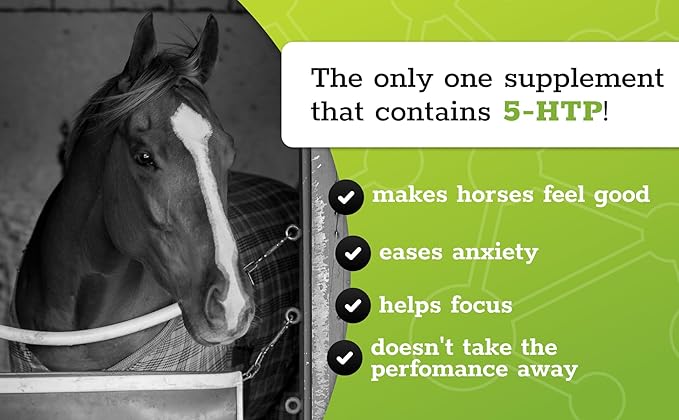 SynChill Oral Horse Calming Gel, 100% Natural & Nutritional Supplement, Lab Proven Results, Designed for Focus & Performance, Approved by Olympic Professionals & Veterinarians, Made in USA - 3-Pack