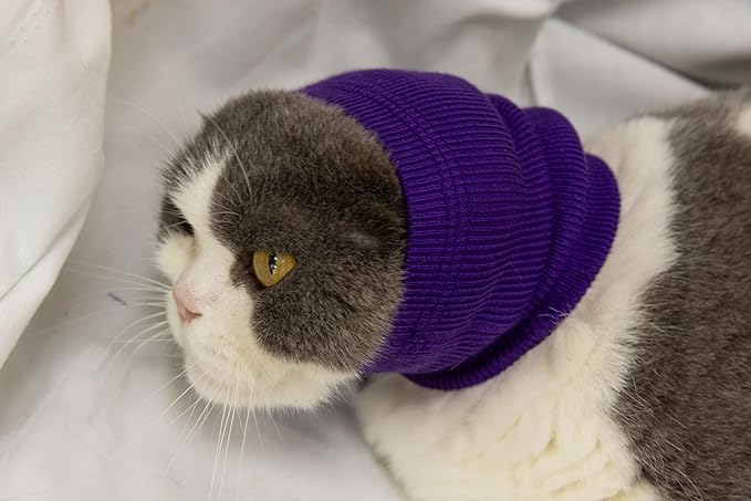 Pet War Flap Head Wrap (2 Pack), No Flap Ear Wrap Cat Small Headband Ears Happy Head Scarf Ear Wrap for Cats Grey+Purple S