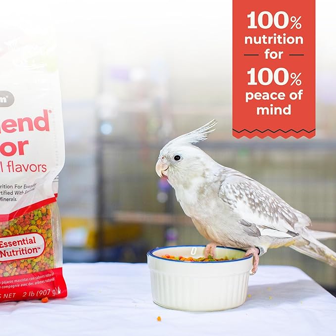 ZuPreem FruitBlend Bird Pellets, Daily Bird Food for Cockatiel, Lovebird, Quaker, Small Conure, Lorikeet, Core Nutrition for Medium Birds, Cockatiel Pellets, Conure Bird Food (M, 10 lb)