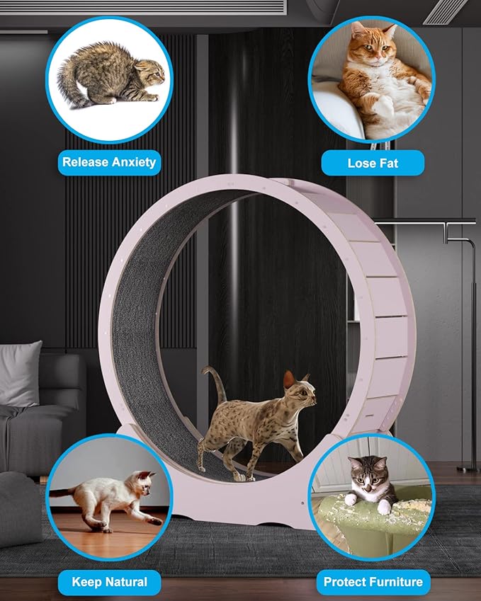 Cat Wheels for Indoor Cats. Extra Large Diameter Cat Treadmill. Made of Natural Solid Wood. Inside Diameter 40in/100cm. Including Installation Tools and Cat Teaser. (Pink)