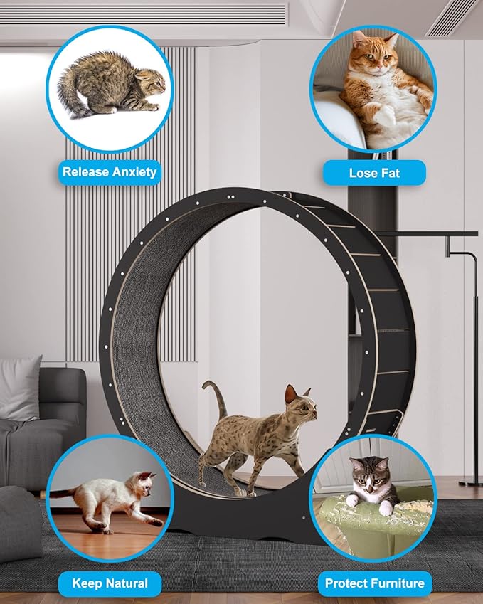 Cat Wheels for Indoor Cats. Extra Large Diameter Cat Treadmill. Made of Natural Solid Wood. Inside Diameter 40in/100cm. Including Installation Tools and Cat Teaser. (Black)