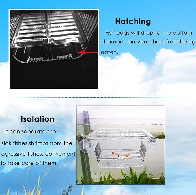 capetsma Fish Breeding Box, Acrylic Fish Isolation Box with Suction Cups, Aquarium Acclimation Hatchery Incubator for Baby Fishes Shrimp Clownfish and Guppy... Small Size (S)