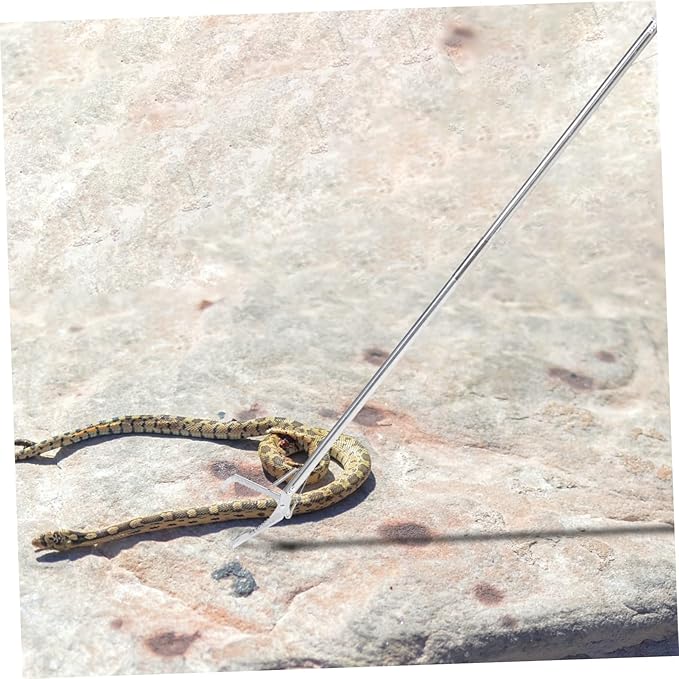 Snake Garbage Collector Rattle Snake Catcher Snake Feeding Tongs Reptile Reptile Terrariums Crab Tools Snake Grabber Tool Feed The Snake To Feed Stainless Steel Elder