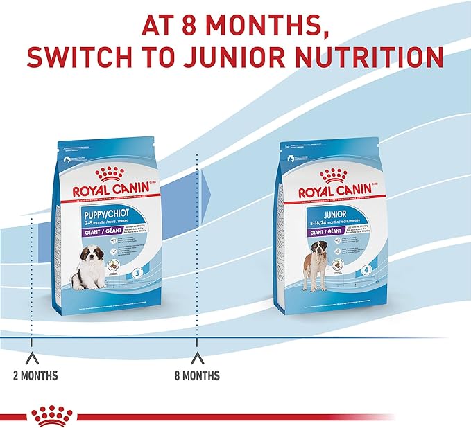 Royal Canin Size Health Nutrition Giant Puppy Dry Dog Food, extra-large Breed Puppy Food Supports Brain Development, Immune System and Digestive Health, 30 lb Bag