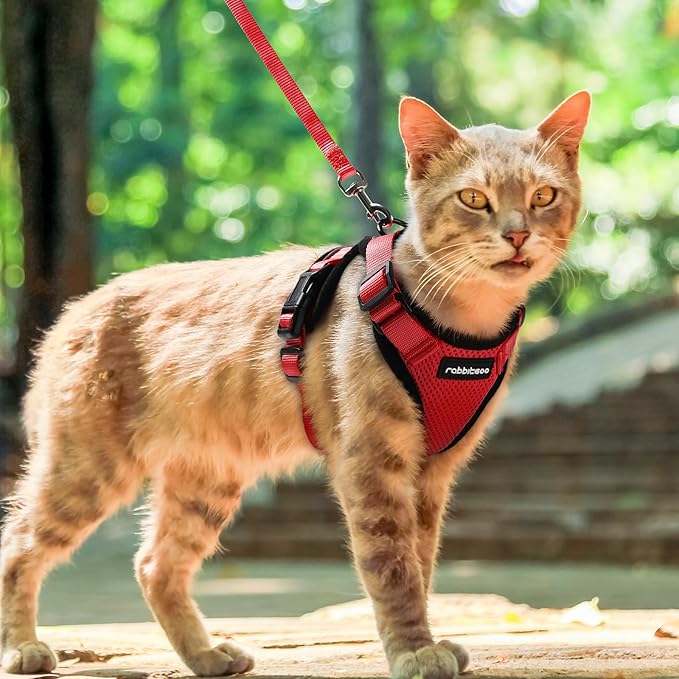 rabbitgoo Cat Harness and Leash for Walking, Escape Proof Soft Adjustable Vest Harnesses for Cats, Easy Control Breathable Reflective Strips Jacket, Red, XXS