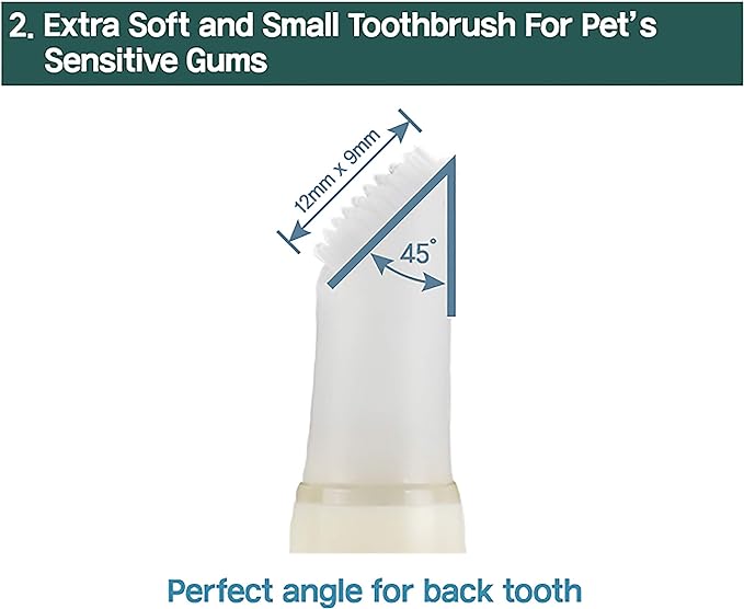 Cat Toothbrush Toothpaste Dental Care - All in One Kit, Cat Toothpaste in Toothbrush, Cat Tooth Whitening & Cleaning, Cat Oil for Healthy Gums (2 Pack, 2 Count)