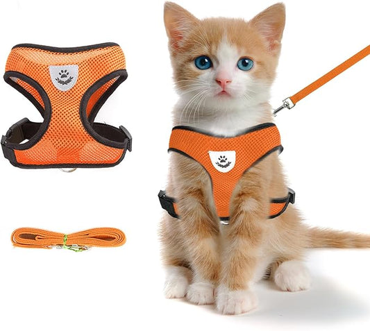 Summer cat Chest Harness and Leash, Anti-Escape Adjustable Soft mesh cat Leash and Chest Harness Set for All Types of Cats cat Vests (Size S, Orange)