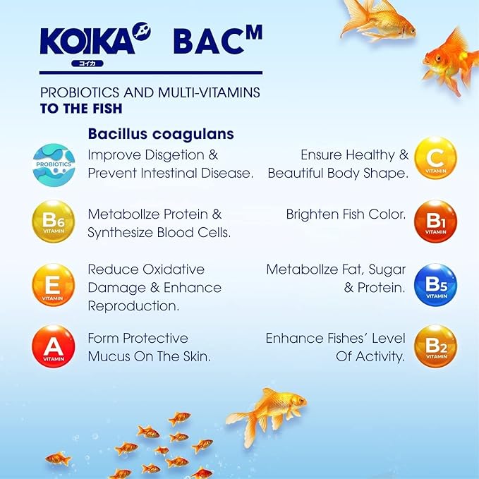 BACM Natural Color Enhancement for Fish, Combination of Probiotic & Multi-Vitamins for Aquarium A, B6, B2, Pleasant Smells (BACM, 30ml)