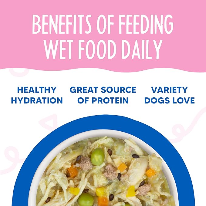 Weruva Meals 'n More Natural Wet Dog Food, Grandma's Chicken Soup Plus Digestive Support, 3.5oz Cup (Pack of 12)