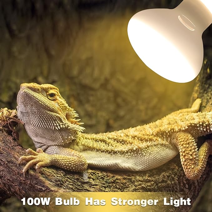 UVA UVB Reptile Light Reptile Heat Lamp Bulb 100 Watt Basking Bulbs for Reptiles Fits E26/E27 Base for Amphibians Bearded Dragon Accessories (100W)