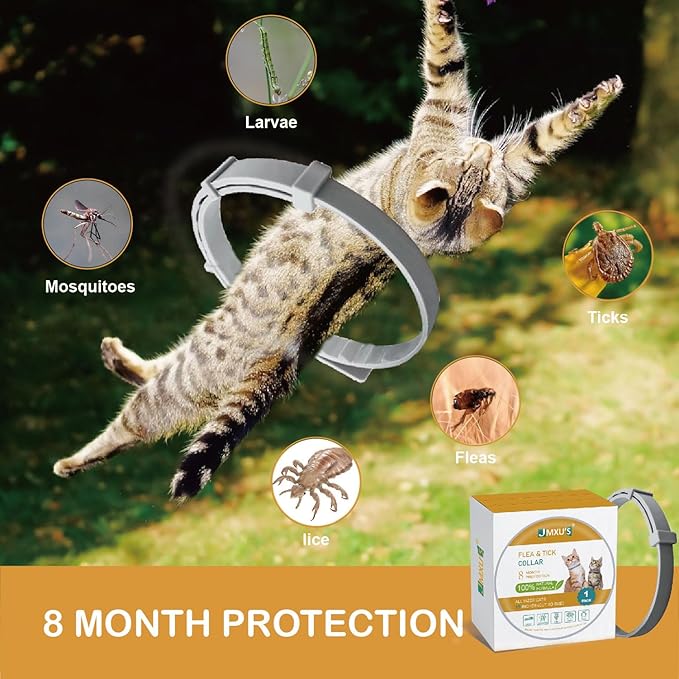 Flea and Tick Collar for Cats &Kitten, Natural Essential Oil Flea and Tick Prevention for Cats, 15 Inch, 8 Month Protection, 1 Pack