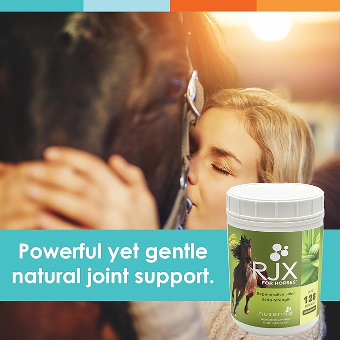 RJX for Horses - Triple Strength Glucosamine, Chondroitin, and MSM. Joint Supplement. Powder. 54 OZ