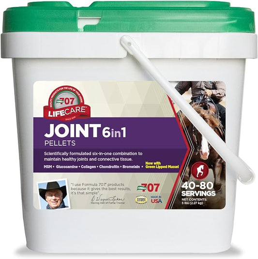 Formula 707 Joint 6in1 Equine Supplement 5 lb Bucket- Support for Joint Integrity and Inflammatory Response in Horses - Green-Lipped Mussel, MSM, Glucosamine, Chondroitin & Collagen