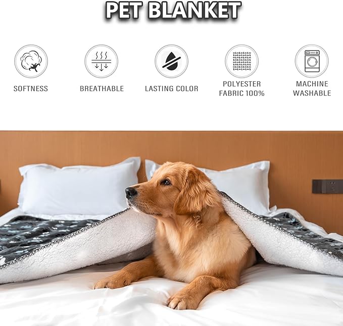 Waterproof Dog Blanket, Pattern Printing Super Soft Warm Fluffy Facecloth Sofa Car Bed Protector, Urine Proof Washable Outdoor Pet Blanket for Puppy Large Dogs & Cats(paw & Bone80*60)