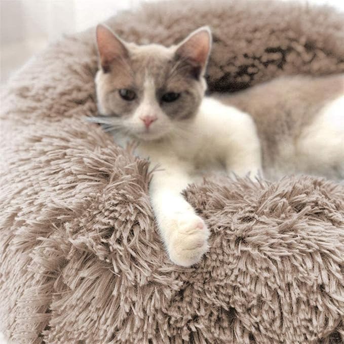 Cat Beds for Indoor Cats - Cat Bed Washable 20/24 inches, Dog Beds for Small Medium Dogs, Anti Anxiety Round Fluffy Plush Faux Fur Cat Bed,Thick Bottom Keep Pets Off The Cold Tile