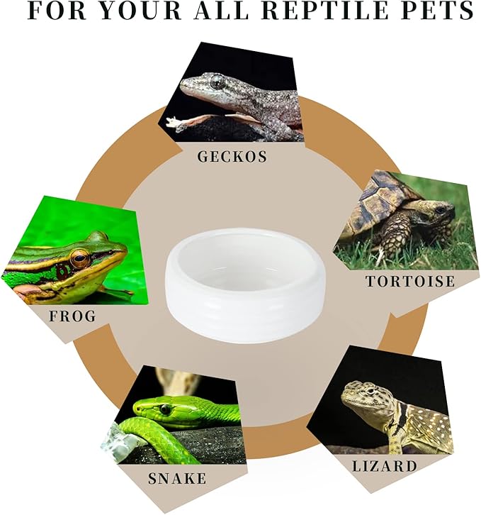 Reptile Food Bowls Ceramic Round Reptile Water Food Dish, Pet Food Bowl for Lizards, Small Snakes, Young Bearded Dragons, Gecko Tortoise Spider (White, Large-2Pack)