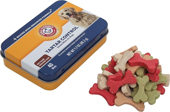 Arm & Hammer for Pets Tartar Control Dental Mints for Dogs Dog Dental Mints Reduce Plaque & Tartar Buildup for All Dogs Beef Flavor (Pack of 2)