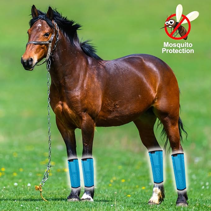 Horse Fly Boots, Adjustable Fly Boots for Horses Set of 4, Comfortable Horse Leggings, Breathable Plastic Mesh Material, Horse Supplies for Reduces Stress & Leg Fatigue (Blue)