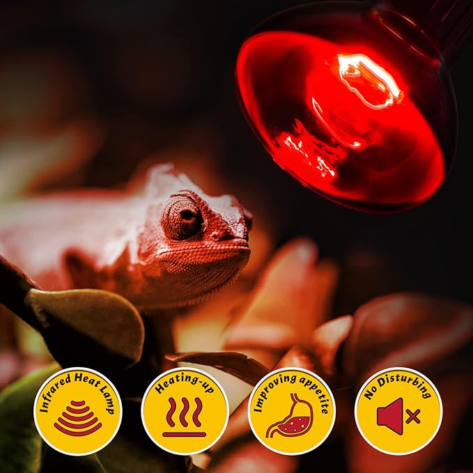 REPTI ZOO 2 Pack 100W Reptile Heat Lamp Bulbs,Upgraded Reptile Day and Night Basking Spot Bulb Combo Amphibian Infrared Heat Lamp Bulb/UVA Basking Spot Daylight Heating Light Bulb