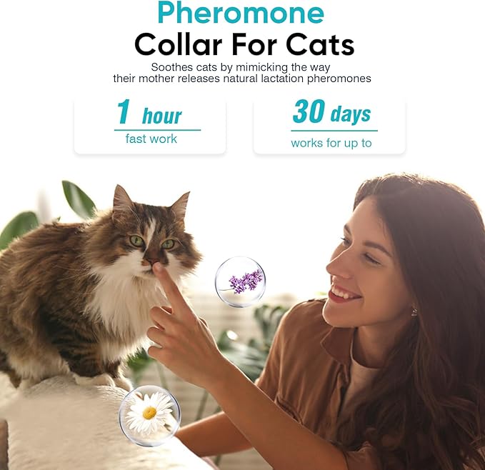 Pheromone Calming Collar Stress and Anxiety Relief Lasts 30 Days Calming Collar for Cats Cat Calm Collar Cat Adjustable Appeasing Calming Collar for Kitten Kitty Calm Collar Make Cat Relaxed 4 Pack