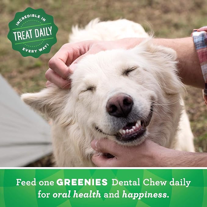 Greenies Pumpkin Spice Flavor Teenie Size, Veterinarian-Recommended for Dental Care, Dog Treat Chews, Limited Edition, 12 oz., Pack of 43