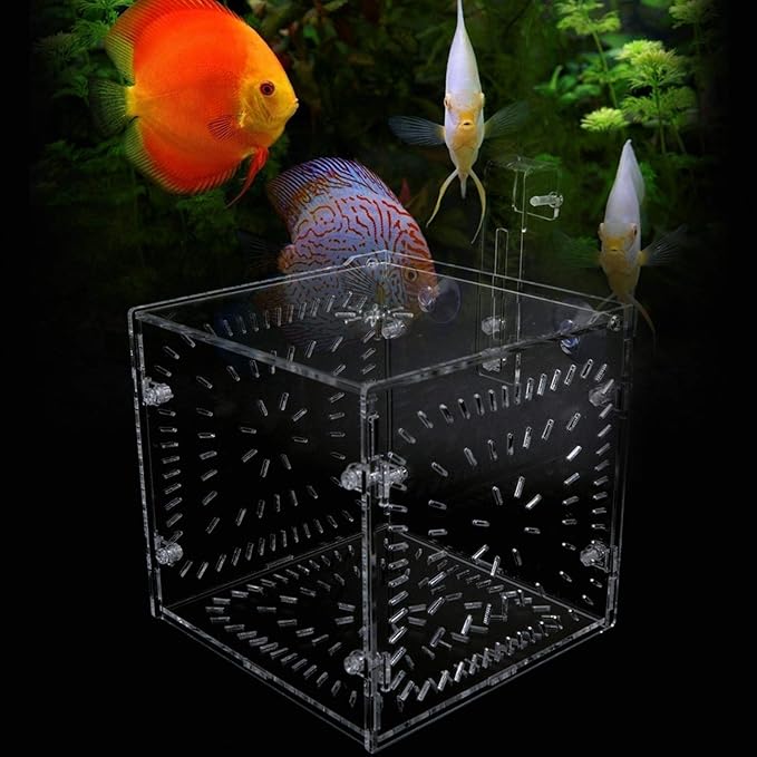 Fish Isolation Breeding Box Acrylic Incubator Floating Aquarium Hatchery Breeding and Parenting Box for Fish Aquarium(15CM*15CM*15CM)