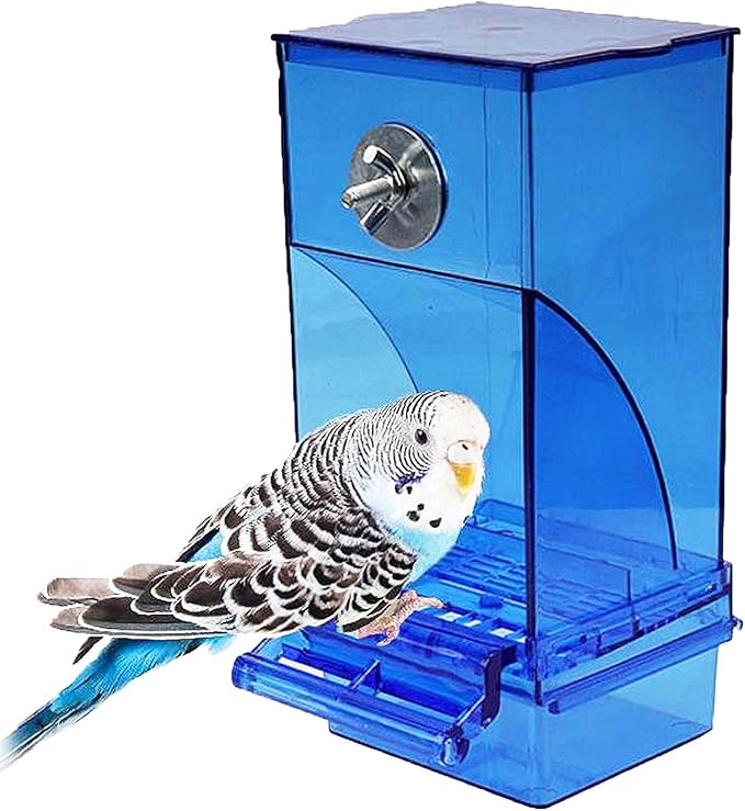 Hamiledyi No Mess Bird Cage Feeder Automatic Parrot Seed Feeders with Chew Balls Acrylic Transparent Seed Food Container Cage Accessories for Small and Medium Parakeets Lovebirds (6 PCS)