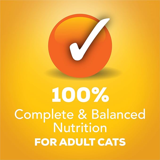 Purina Friskies Gravy Wet Cat Food Variety Pack, Tasty Treasures Prime Filets - 5.5 Ounce (Pack of 12)