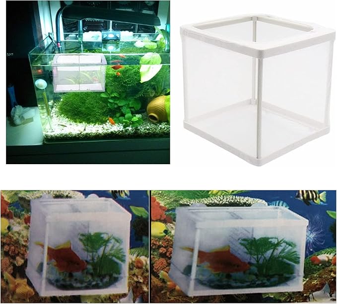 2 Pcs Fish Tank Breeder Net, Fish Hatchery Breeder Box Separation Nettig, Plastic Frame Fish Breeding Box Fry Hatchery Incubator Mesh with Suction Cup for Aquarium