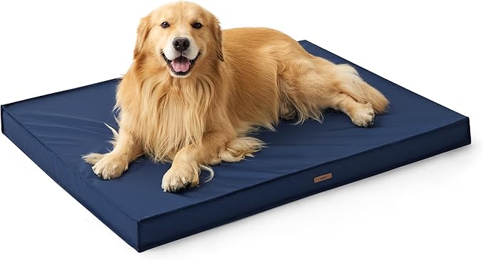 Lesure Waterproof Dog Bed for Medium Dogs - Outdoor Dog Bed with Oxford Fabric Surface, Medium Egg Orthopedic Foam Pet Bed with Removable and Durable Cover, Machine Washable, Navy