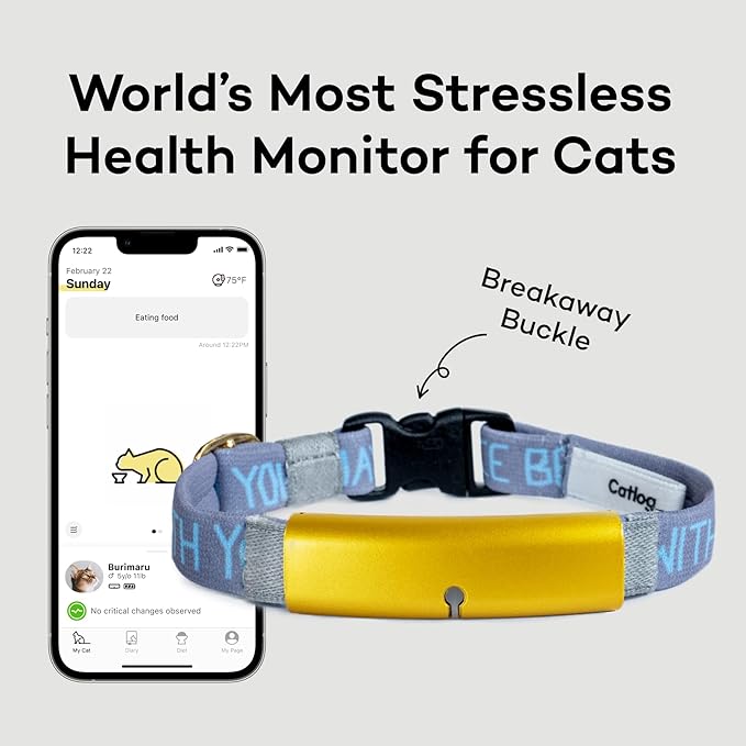 Smart Collar ([May The Force be with You] Design, XL) - Smart Collar with a Breakaway Buckle, Healthcare Tracker for Indoor Cat, Live Behavior Tracking, Loss of Energy Alerts