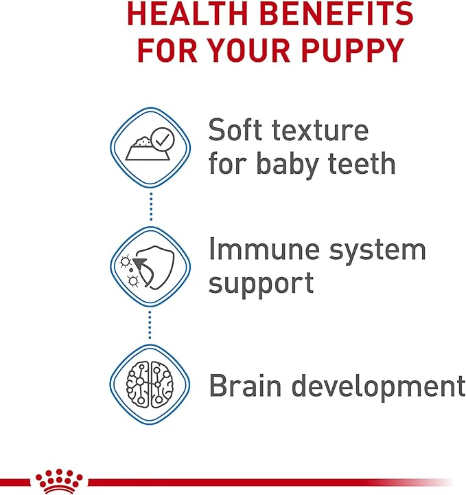 Royal Canin Size Health Nutrition Small Puppy Thin Slices in Gravy Wet Dog Food, 5.1 oz 24-Pack