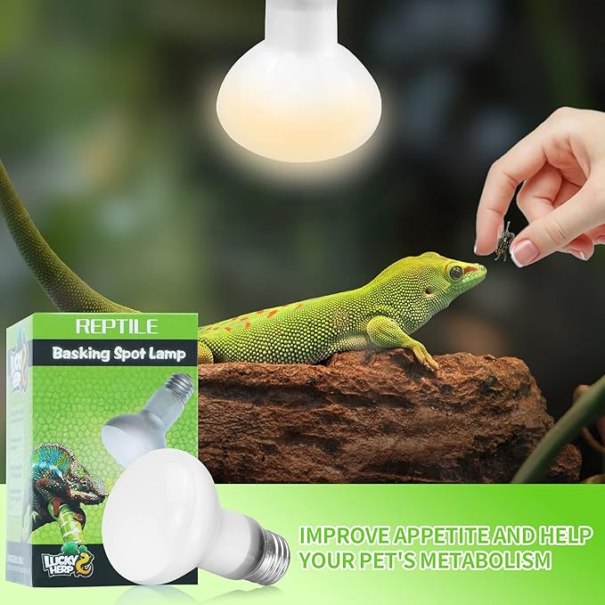 LUCKY HERP Reptile Heat Lamp - 100W (2nd Gen) Heat Lamp Bulbs for Reptiles 2 Pack, Amphibians Basking Heat Lamp Bulbs, UVA Daylight Basking Light for Reptiles, Bearded Dragon, Lizard, Turtle, Chicken