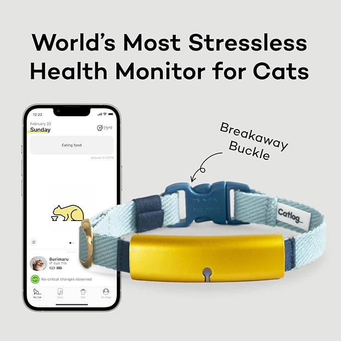 Smart Collar (Ice Blue, M) - Smart Collar with a Breakaway Buckle, Healthcare Tracker for Indoor Cat, Live Behavior Tracking, Loss of Energy Alerts