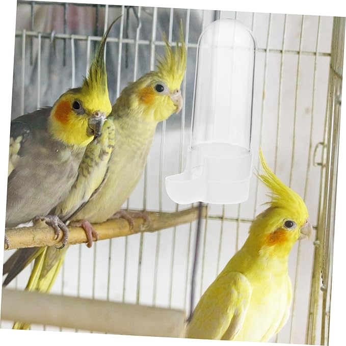 GANAZONO 2pcs Bird Drinker Plastic Water Pitcher Pet Water Bottle Clear Plastic Tray Parrot Water Dispenser Bird Water Feeder for Cage Automatic Bird Cage Supply Bird Food Case Bird Feeder