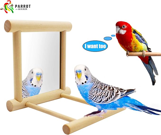 Bllesqelax Bird Parakeet Mirror for Cage,Parrot Perch Stand,Wooden Hummingbird Swing Toy,Parakeet Accessories for Cockatiels Conure Finch Lovebird Canary African Grey Macaw