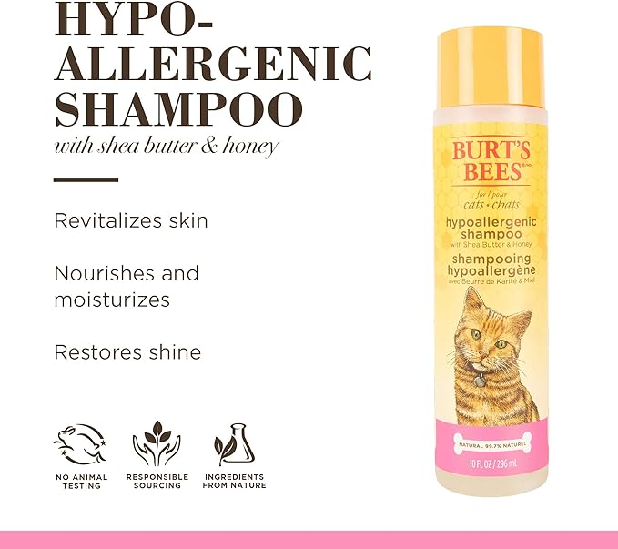 Burt's Bees for Pets Cat Hypoallergenic Cat Shampoo with Shea Butter & Honey - Best Shampoo for Cats with Dry or Sensitive Skin - Cruelty Free, 10 Fl Oz - 6 Pack