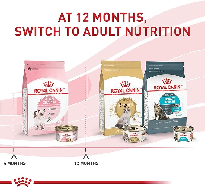 Royal Canin Feline Health Nutrition Kitten Thin Slices in Gravy Canned Cat Food, 3 oz can (24-count)