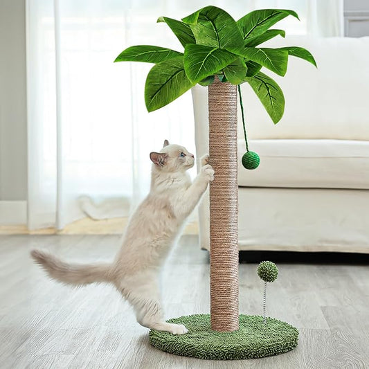 Cat Scratching Post, 26" Kitten Scratching Post with Premium Sisal Rope, Cute Cat Tree with Dangling and Spring Ball Toys for Indoor Small Cats