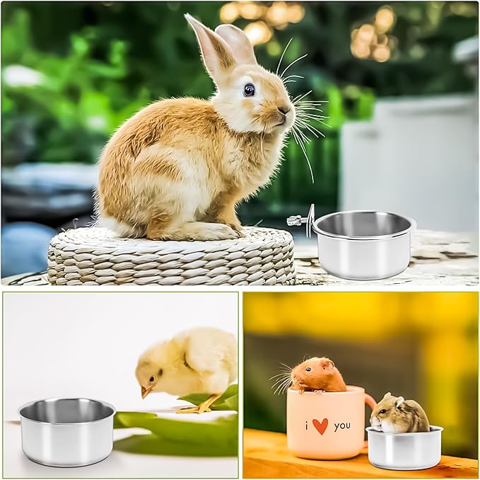 MotBach 2 Pack Stainless Steel Bird Feeding Dish Cups, Bird Feeder Parrot Food Water Bowls with Clamp, Pet Cage Cups Holder for Bird Parrot Cockatiel Conure Budgies Parakeet Small Animal