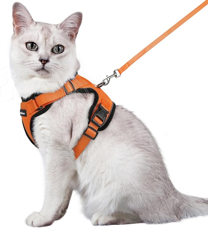 rabbitgoo Cat Harness and Leash for Walking, Escape Proof Soft Adjustable Vest Harnesses for Cats, Easy Control Breathable Reflective Strips Jacket, Orange, M